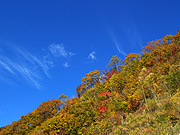 紅葉の山と青空の風景