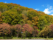 紅葉の山と青空の風景